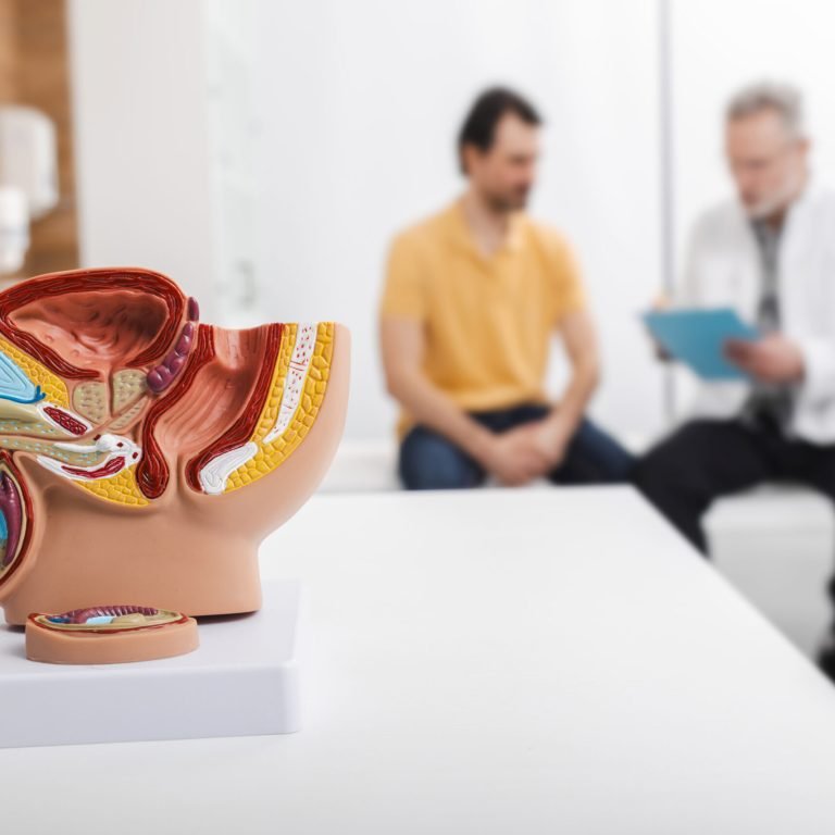 Male reproductive anatomy model on doctor's table during urologist consultation for sick patient in background. Treatment of men's diseases and prostatitis
